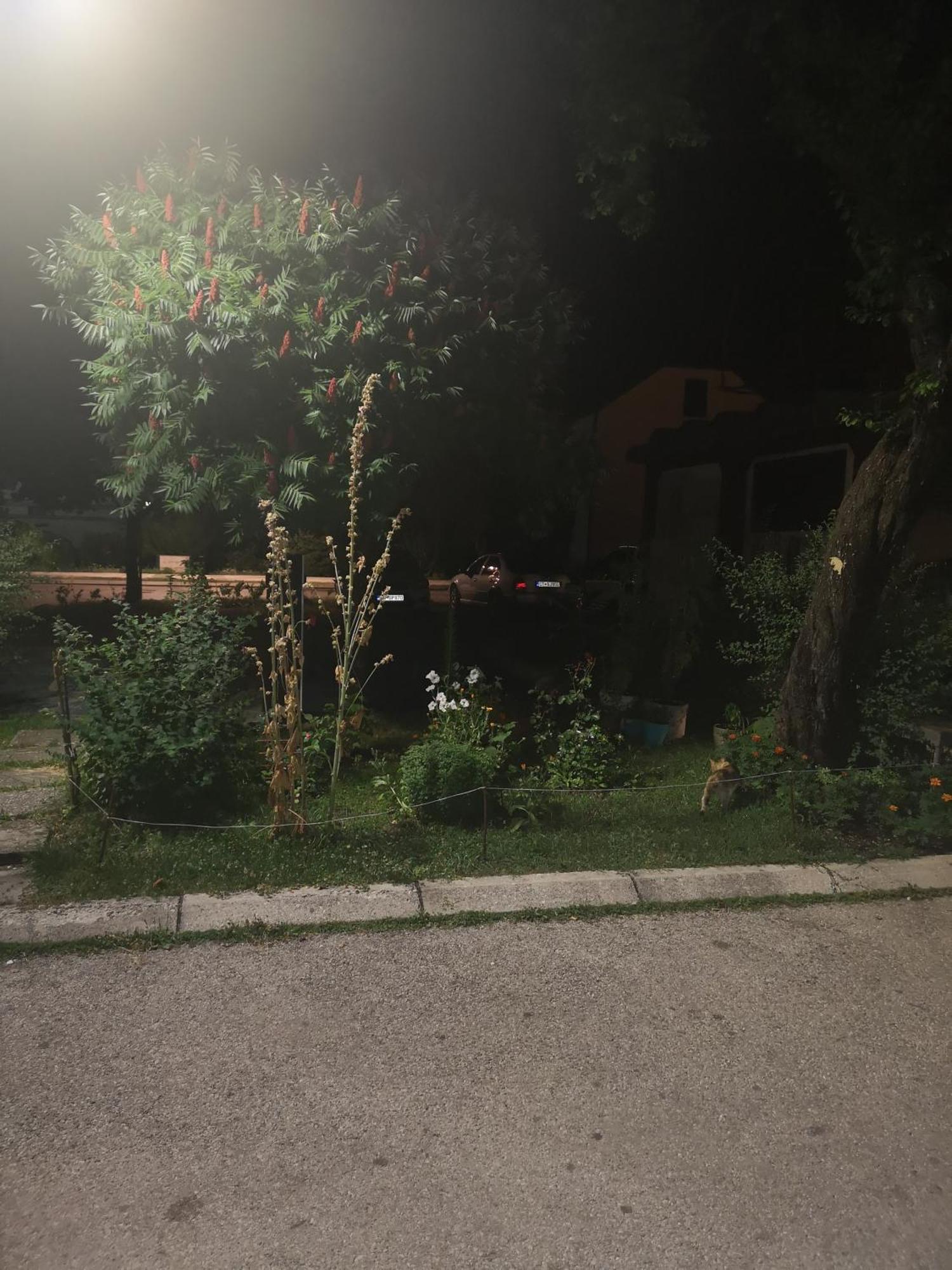 Apartman Sunny Apartment Цетине Екстериор снимка